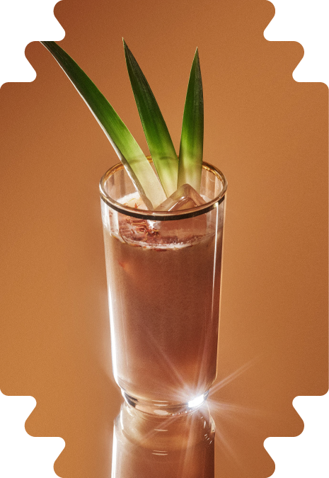 Materi-Website-Minuman-17