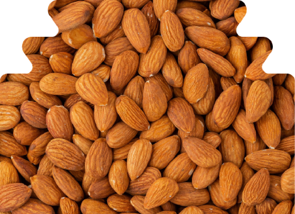 DENYUT_HERBS-02